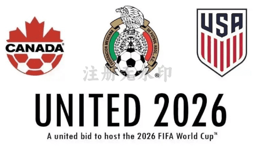 FIFA世界杯赛事画面
